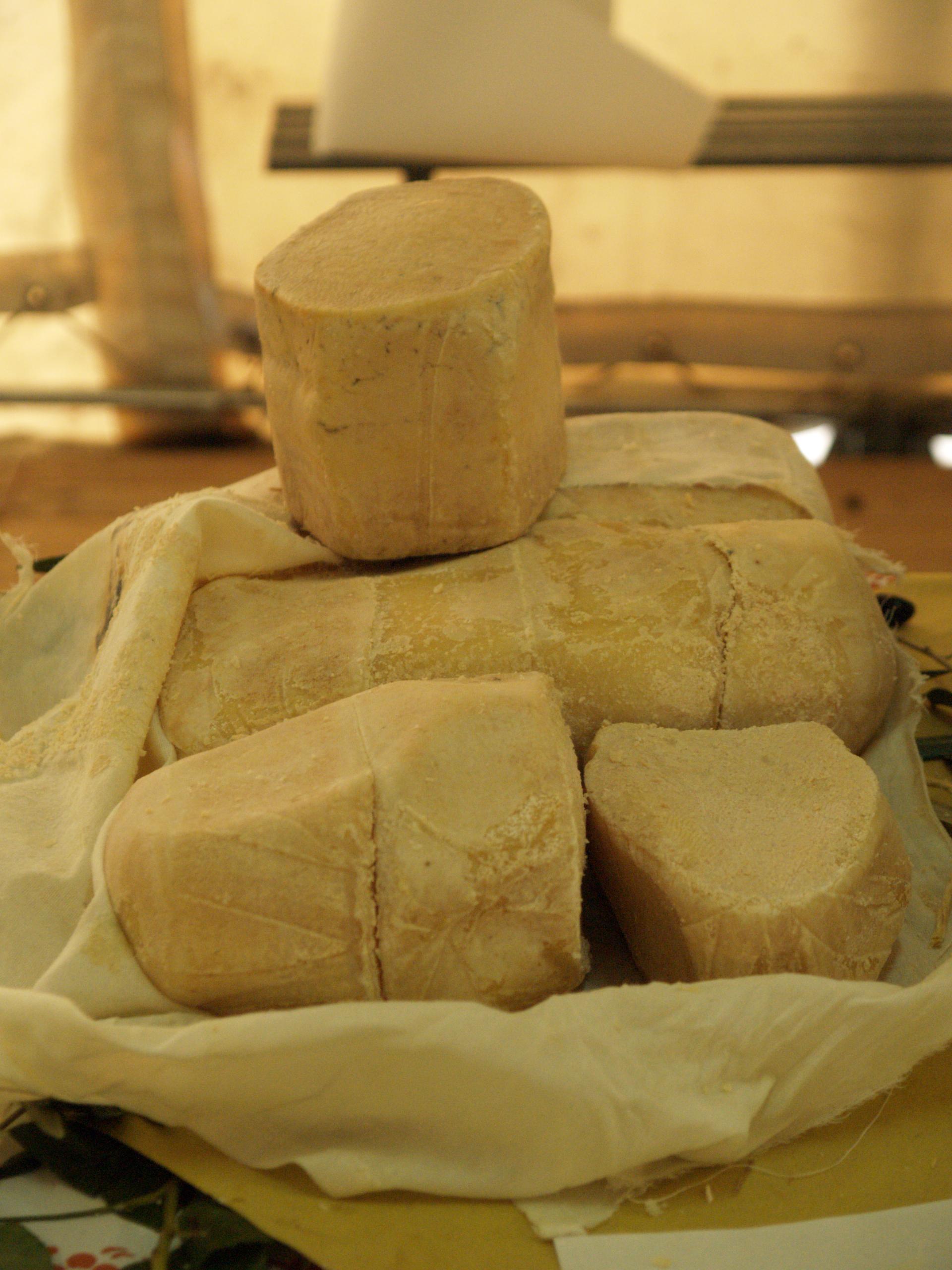 Il Formaggio di Fossa di Sogliano DOP - Comune di Sogliano al Rubicone (FC)