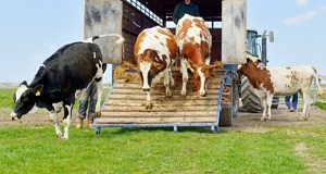 CONTRIBUTO PER LO SMALTIMENTO DELLE CARCASSE DEGLI ANIMALI DECEDUTI IN AZIENDA NELL'ANNO 2025